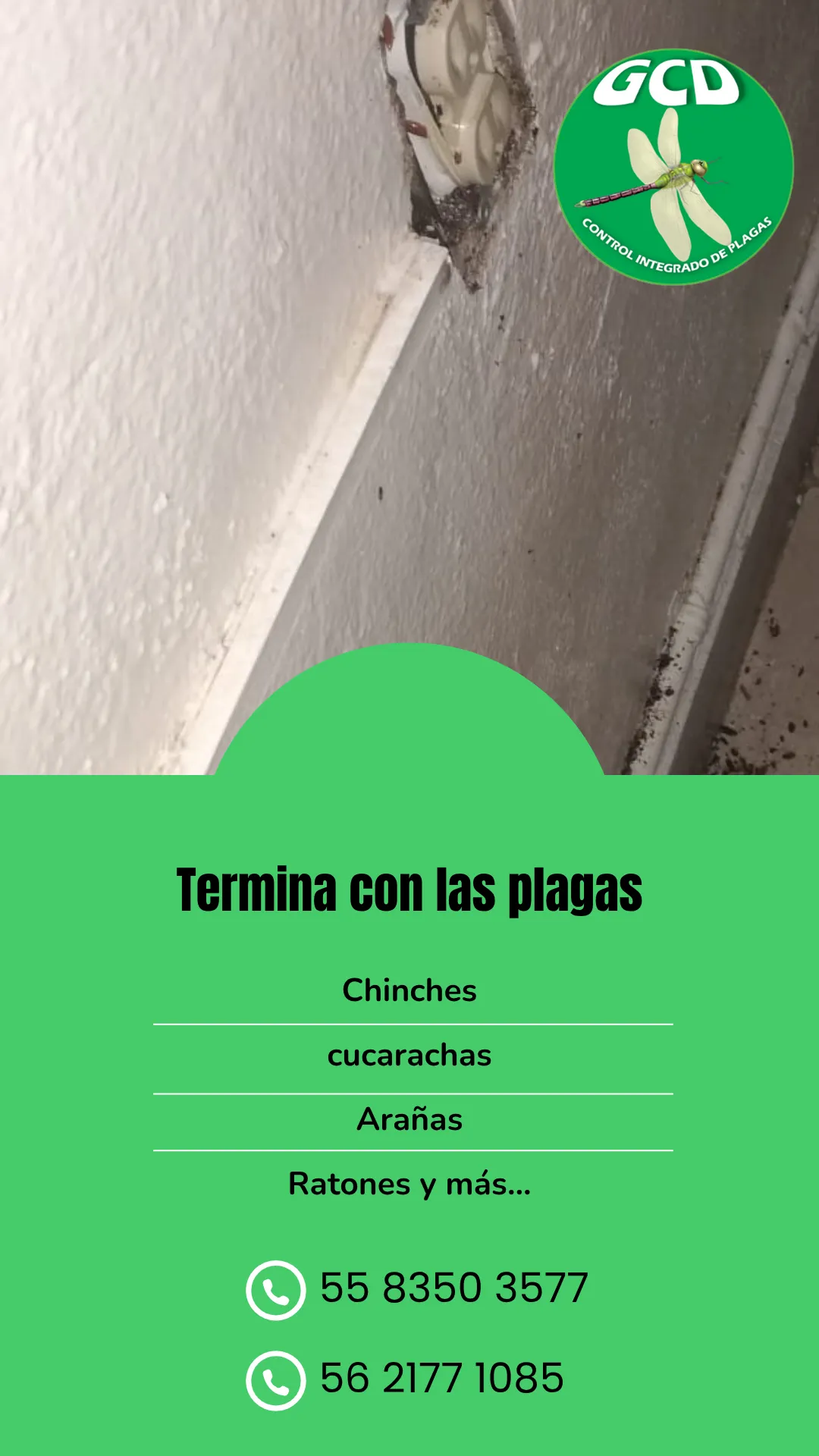 Diseño 15