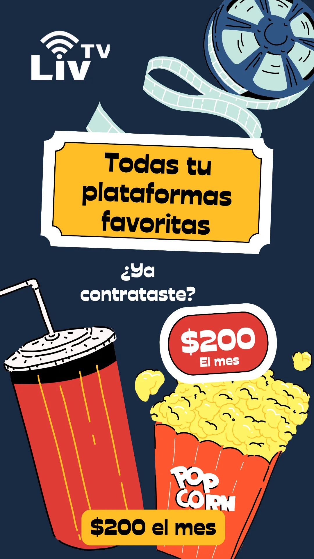 Diseño 16