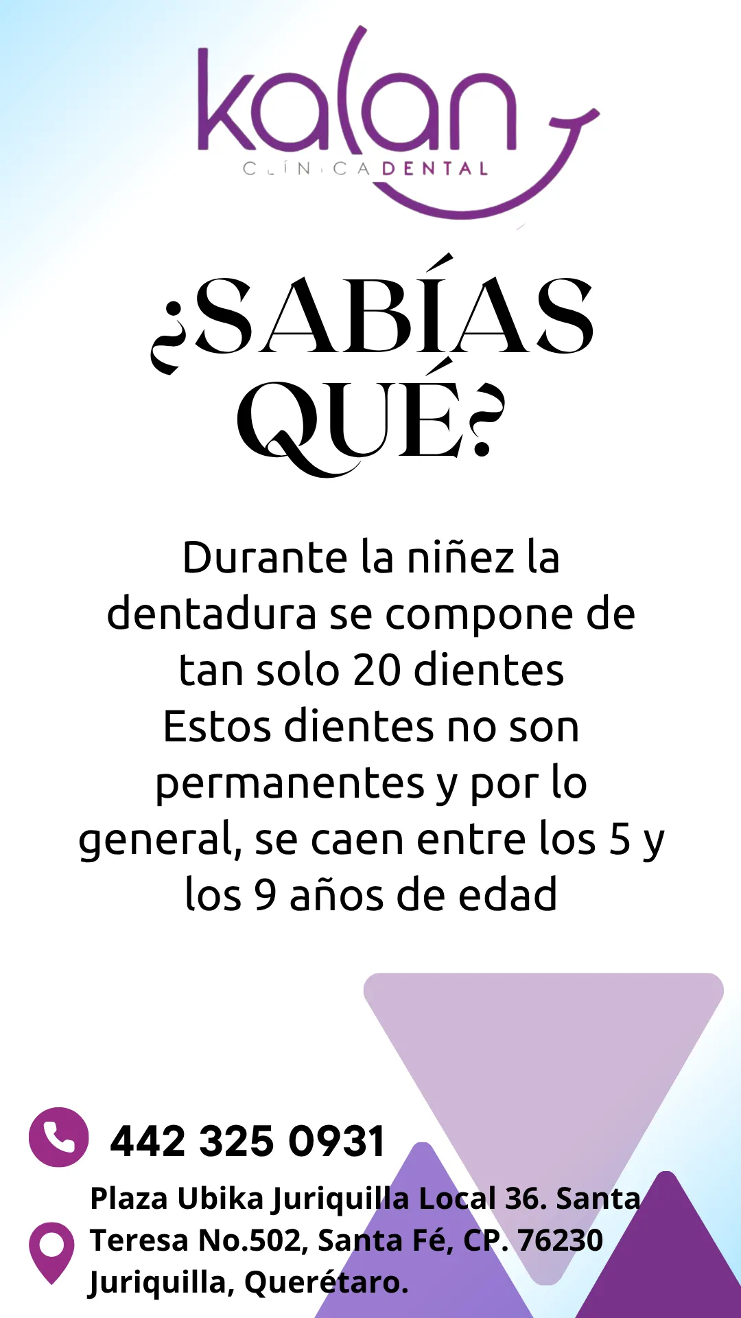 Diseño 31