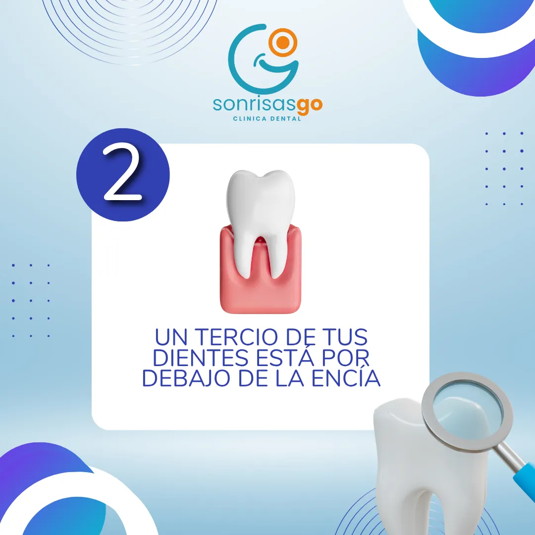 Diseño 28