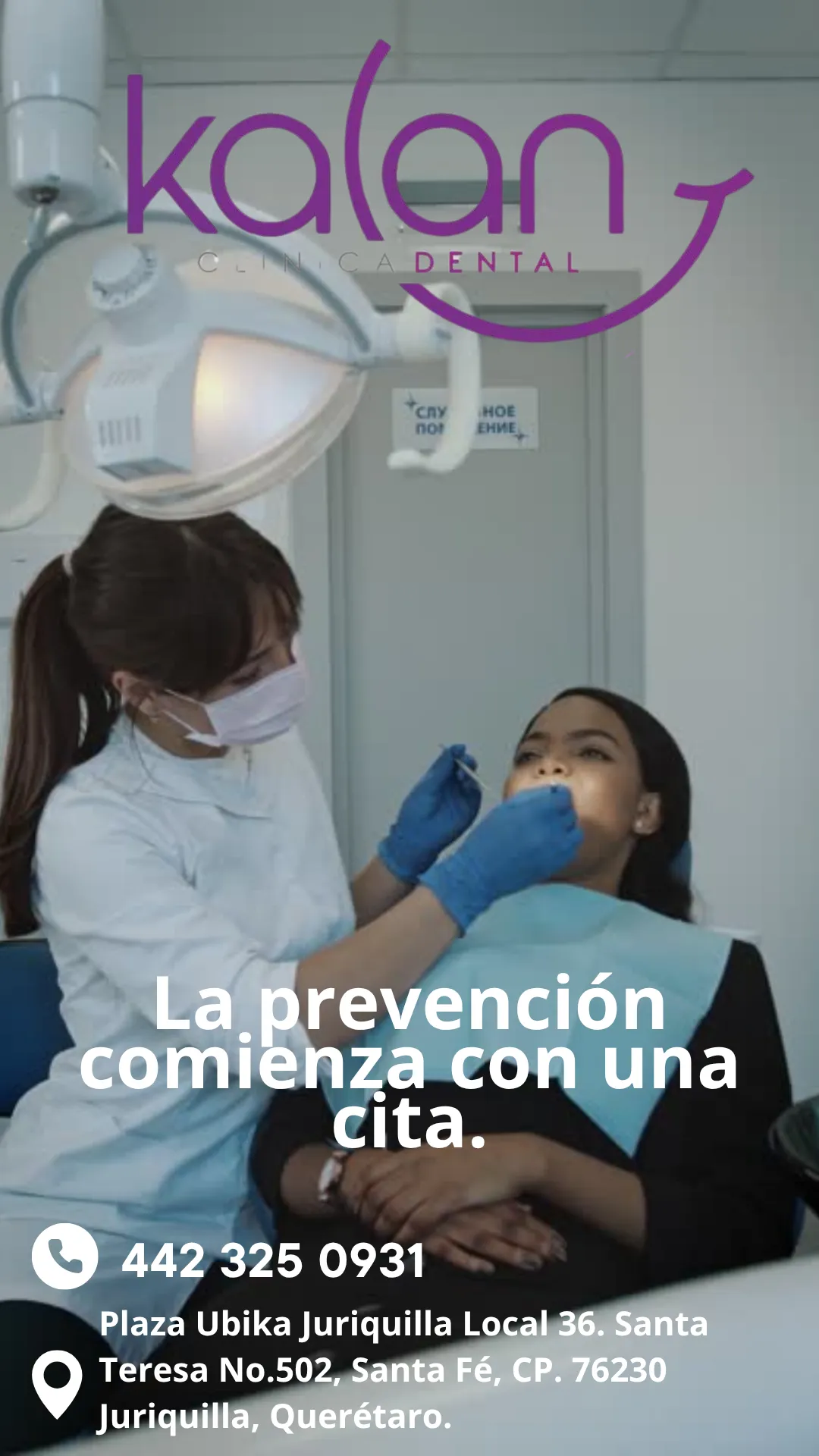 Diseño 51