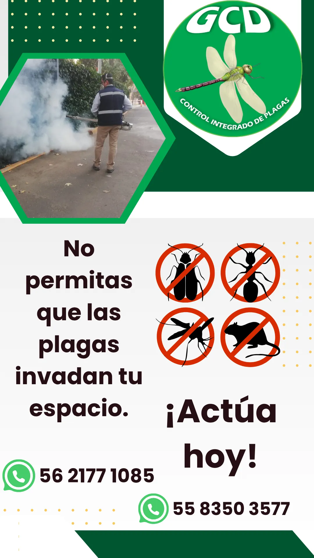 Diseño 127