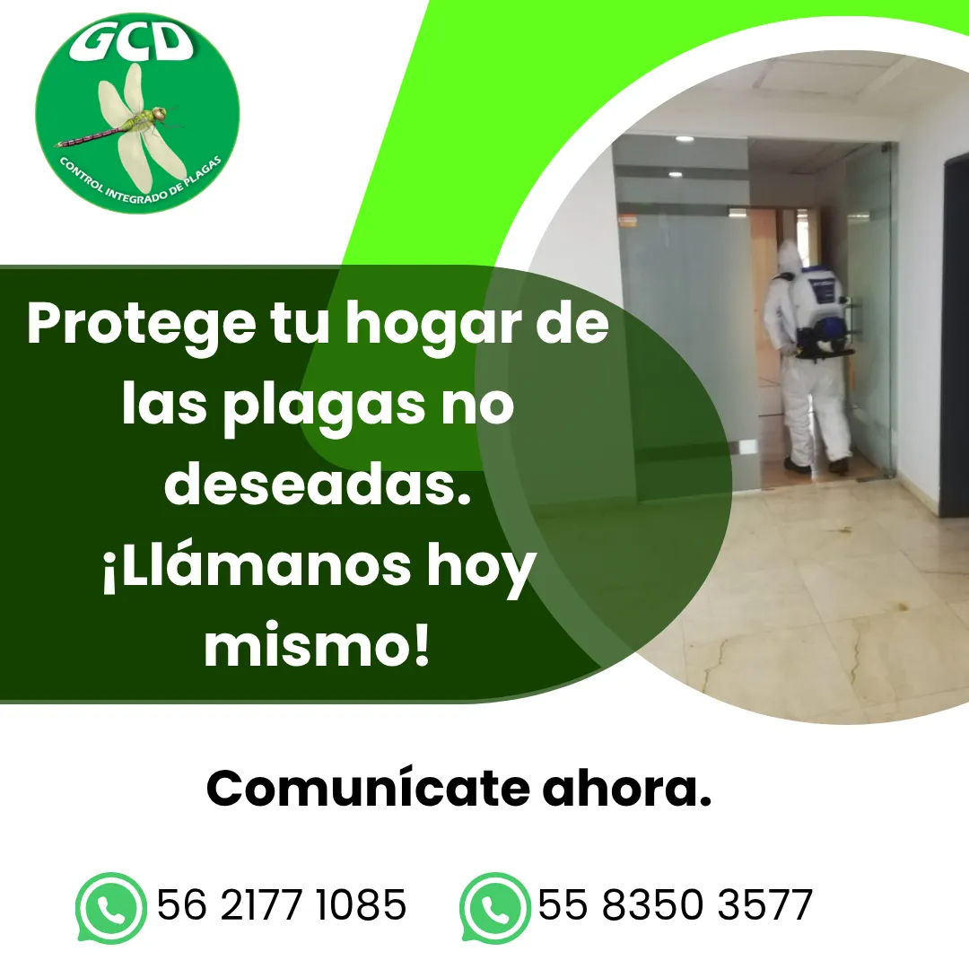 Diseño 37
