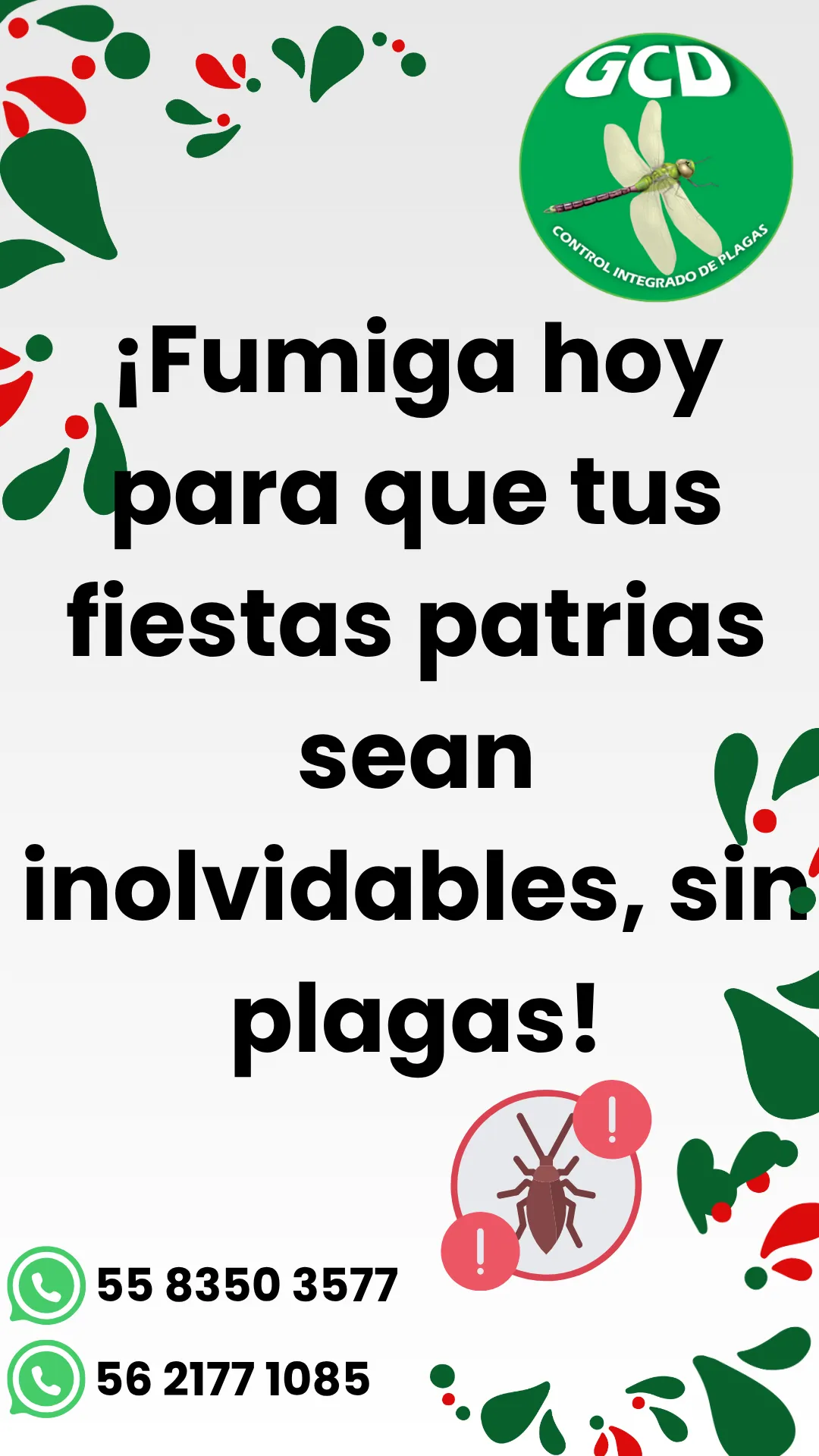Diseño 69
