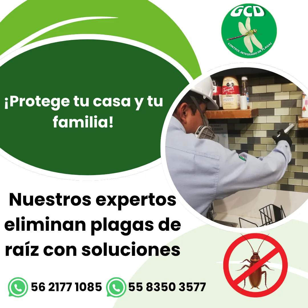 Diseño 104