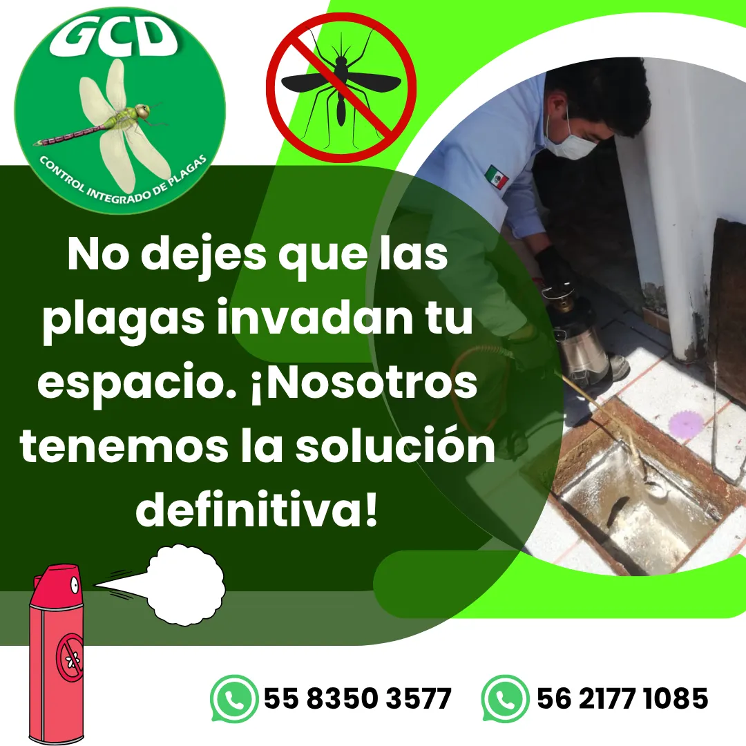 Diseño 147