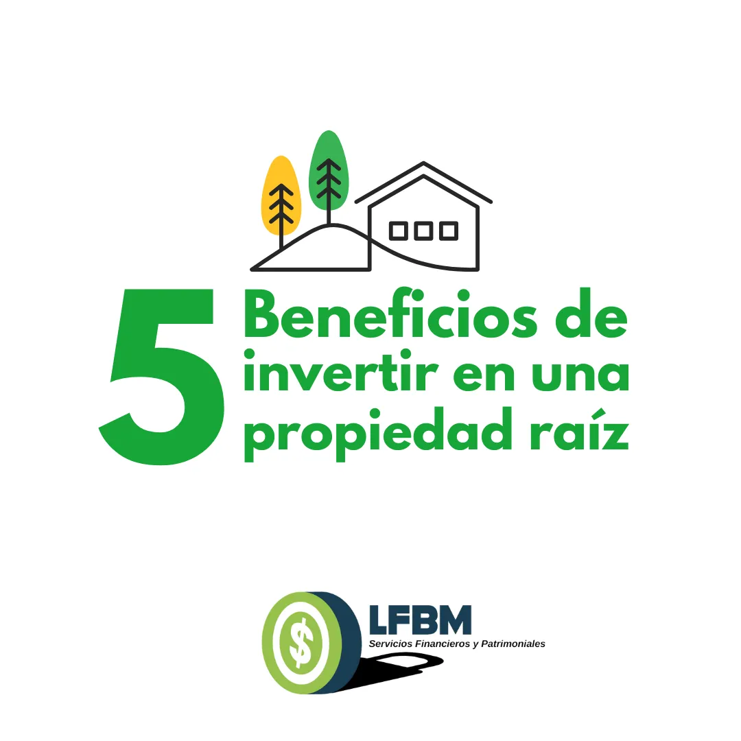 Diseño 24