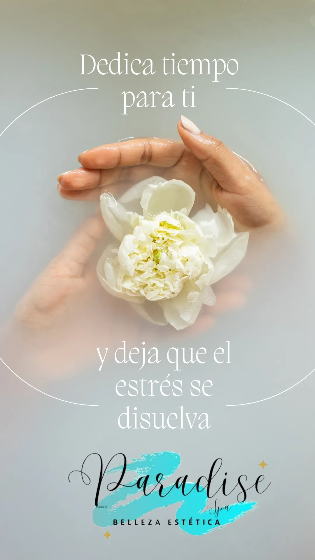 Diseño 11