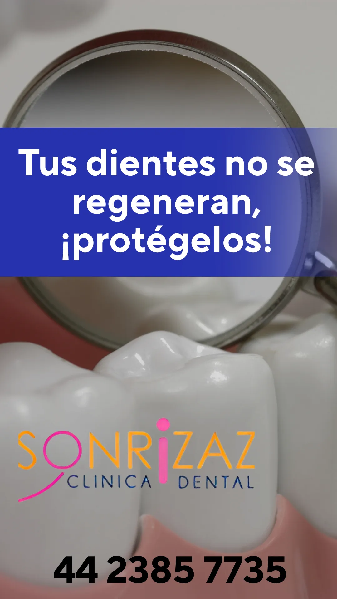 Diseño 28
