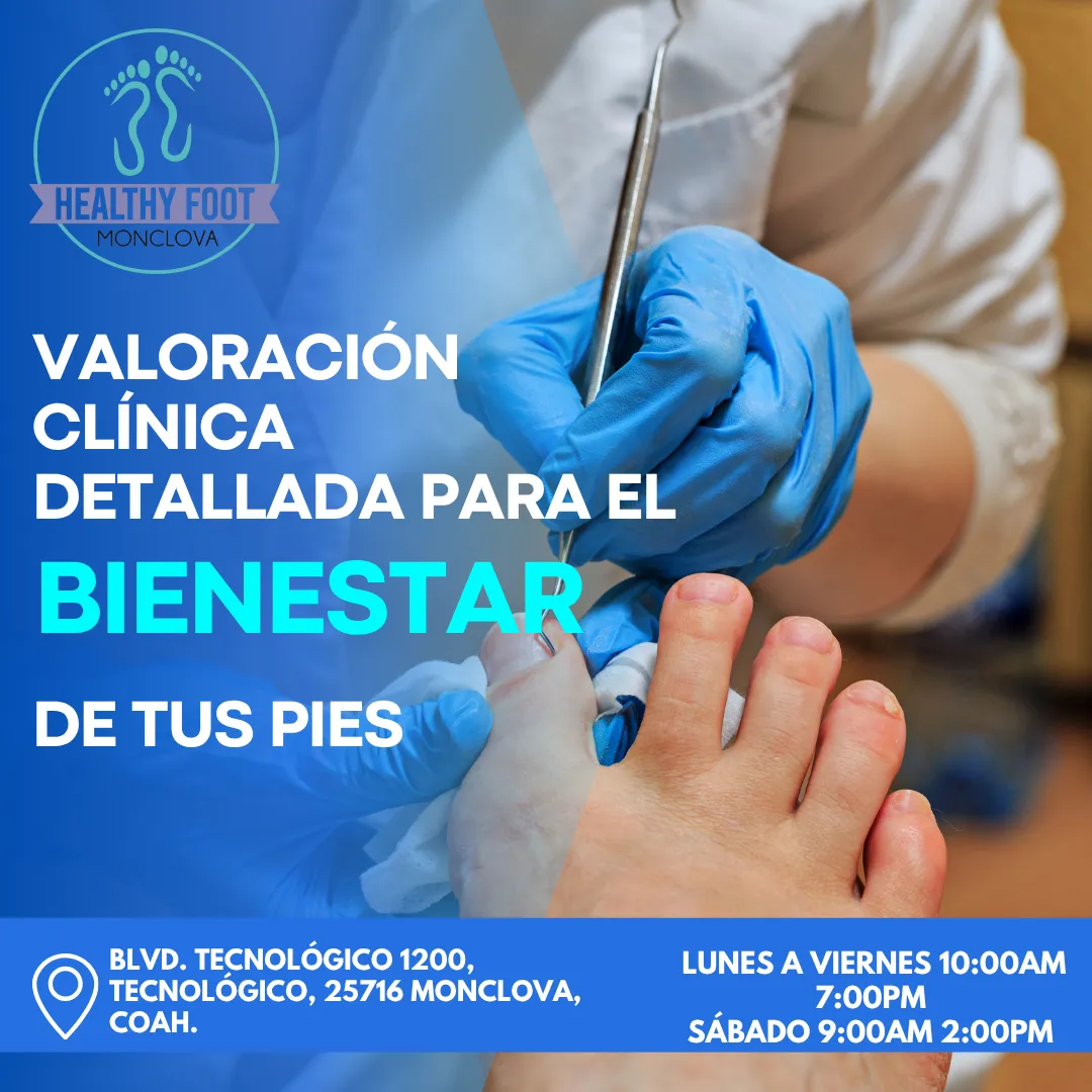 Diseño 138