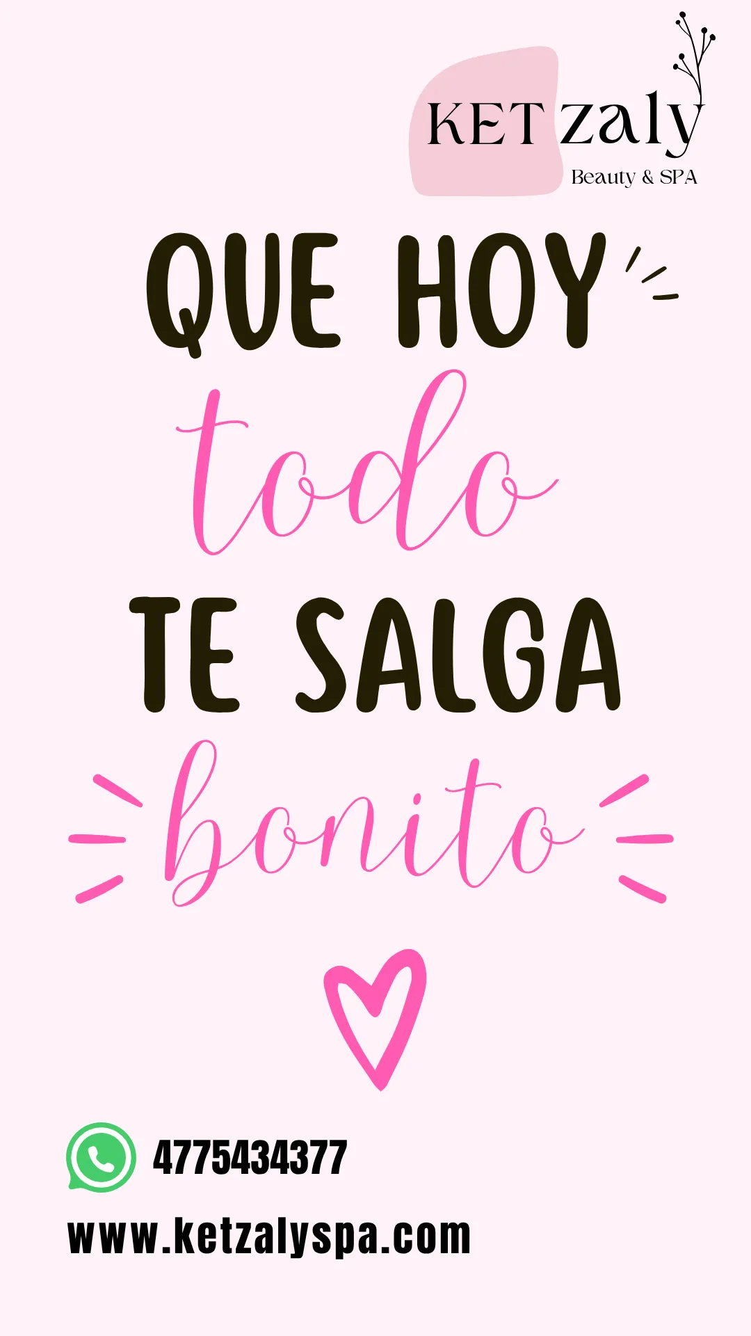 Diseño 48