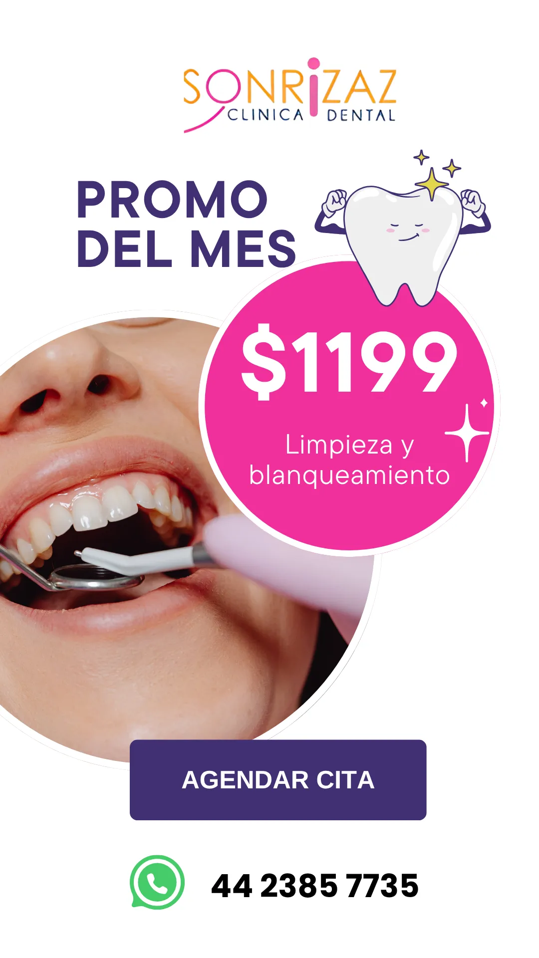 Diseño 43