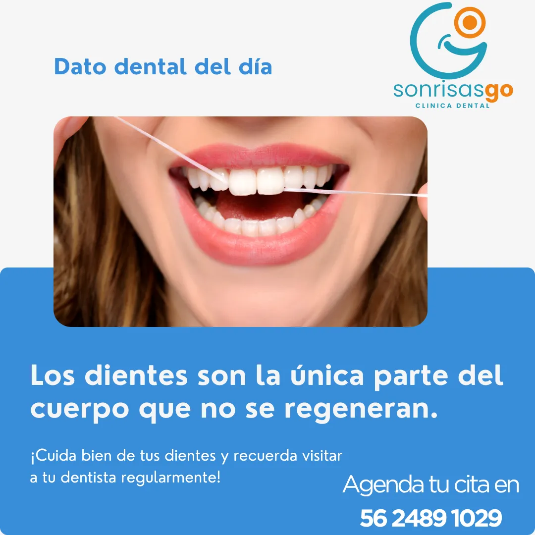 Diseño 15