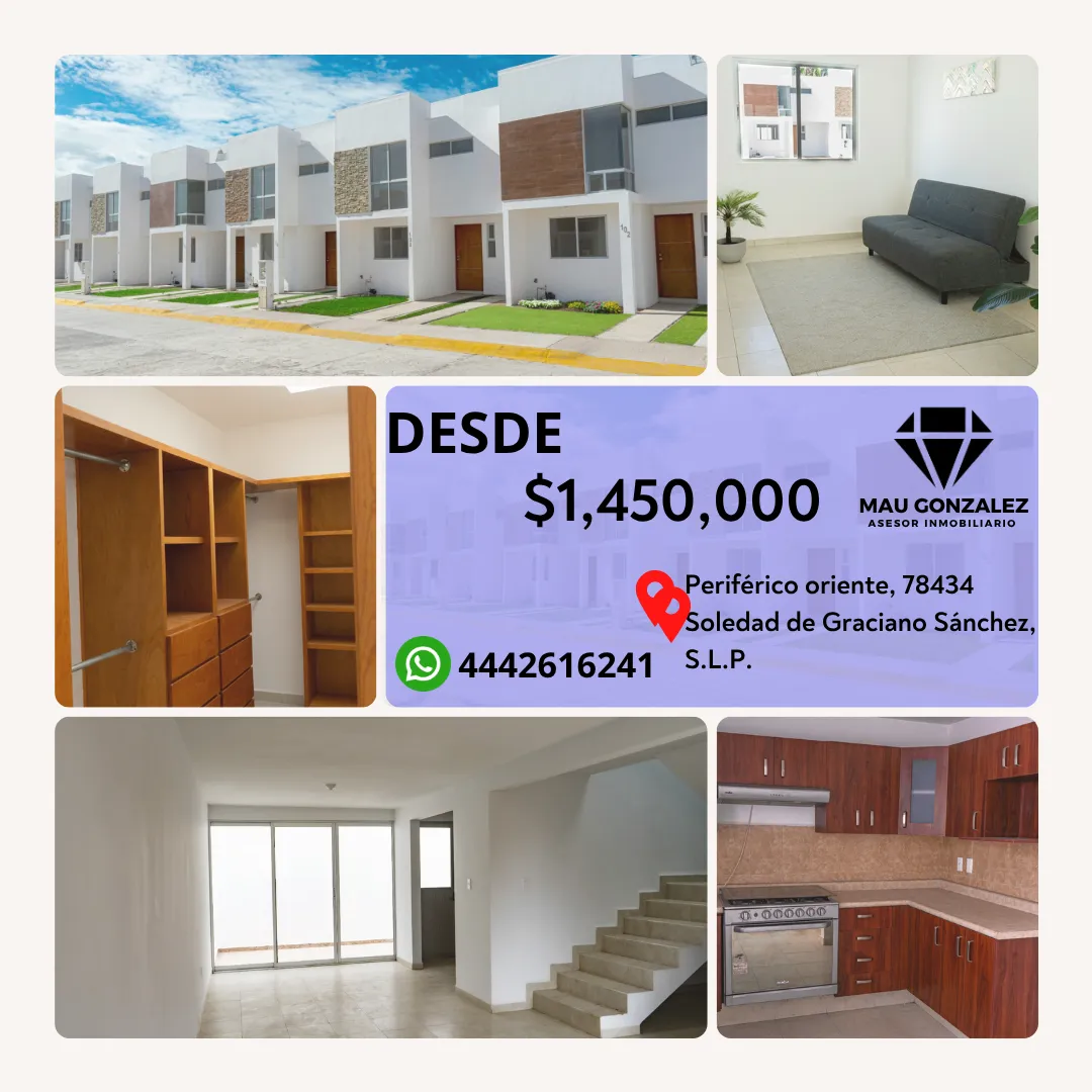 Diseño 6