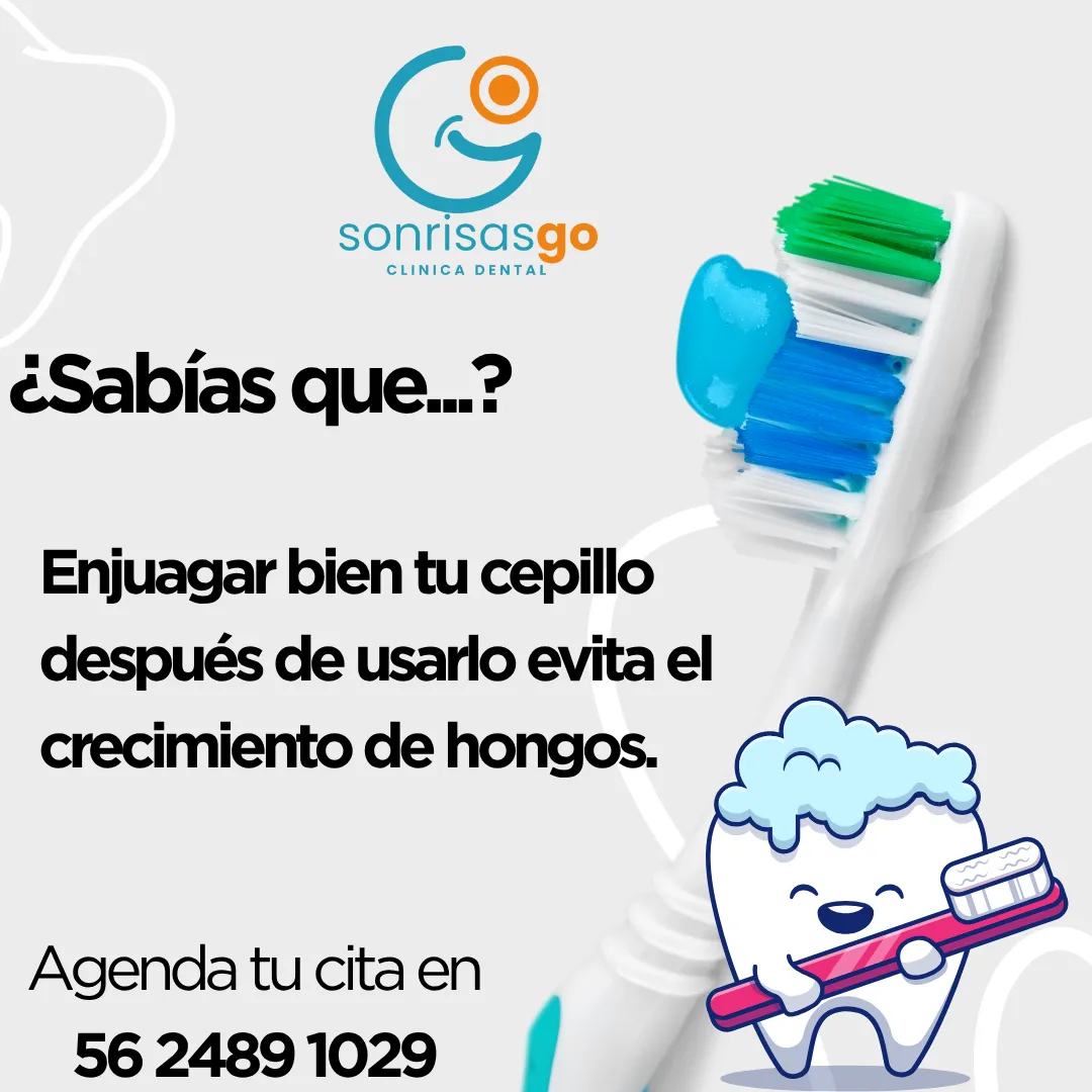 Diseño 46