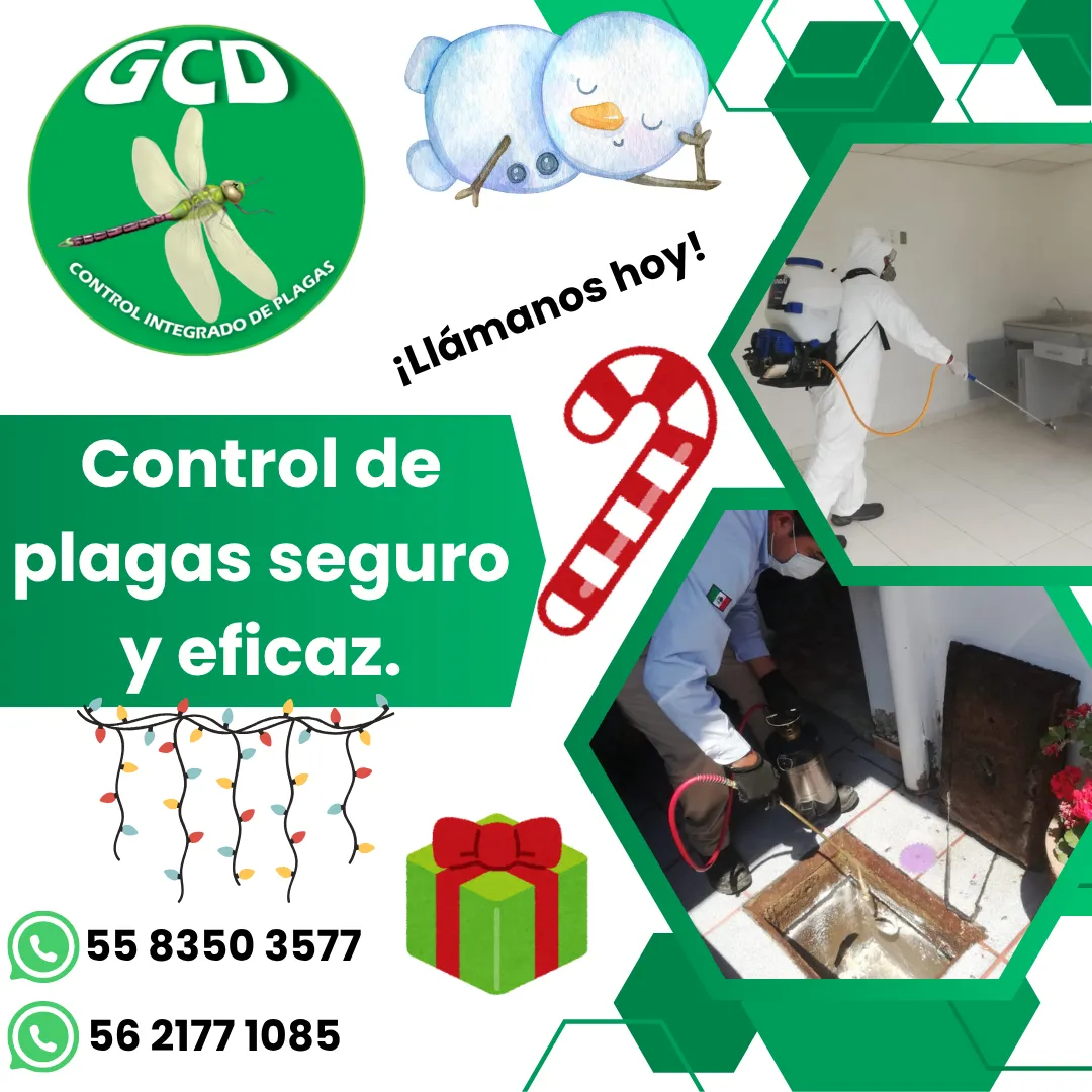 Diseño 18