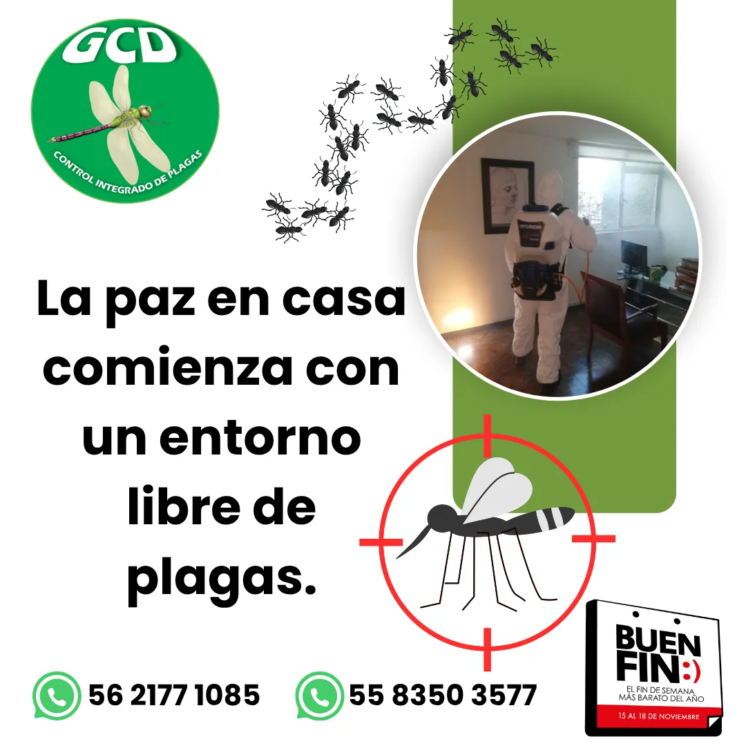 Diseño 142