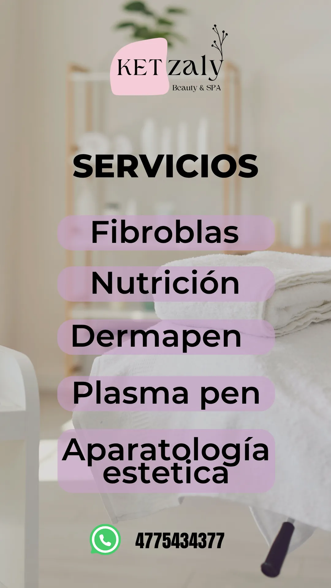 Diseño 124
