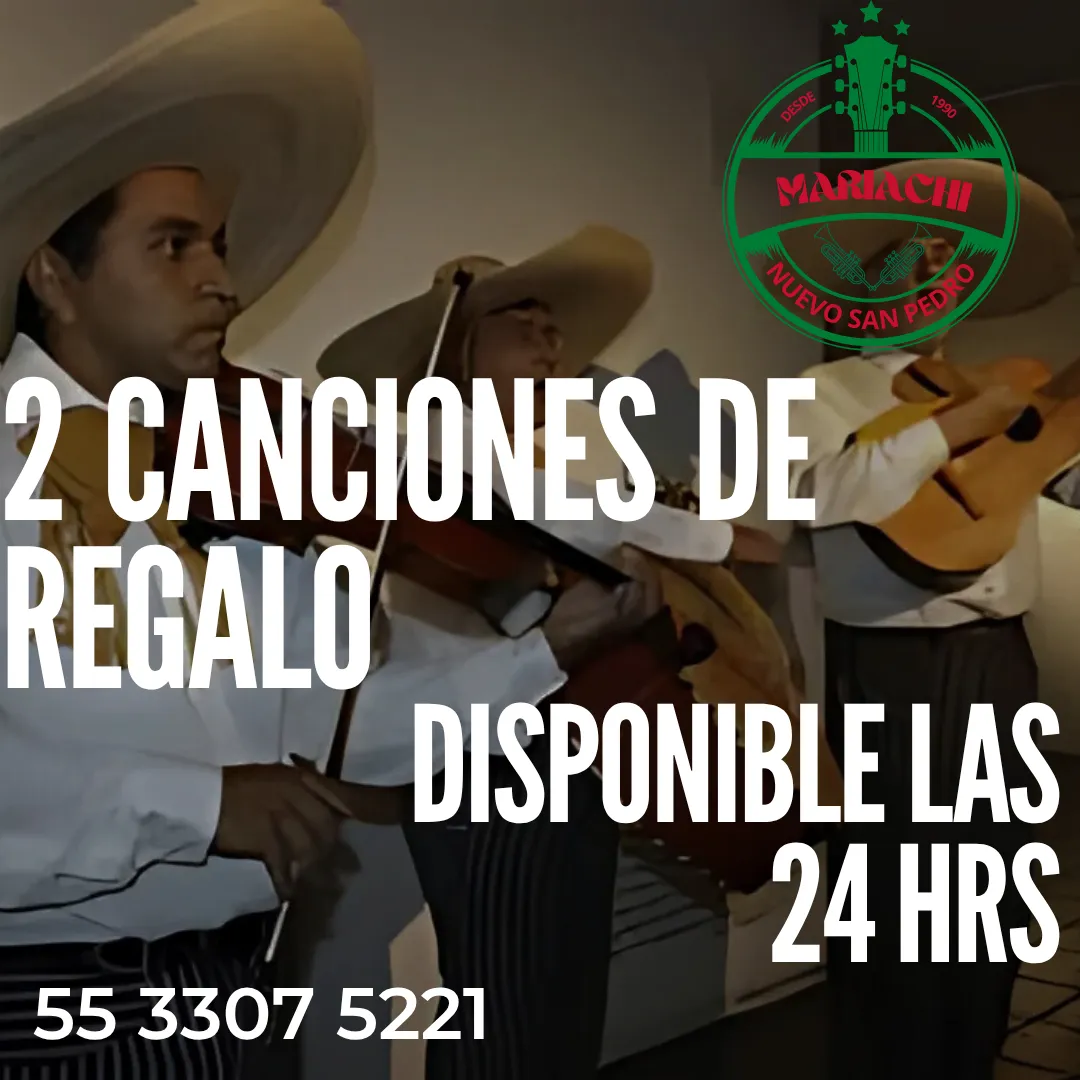 Diseño 37
