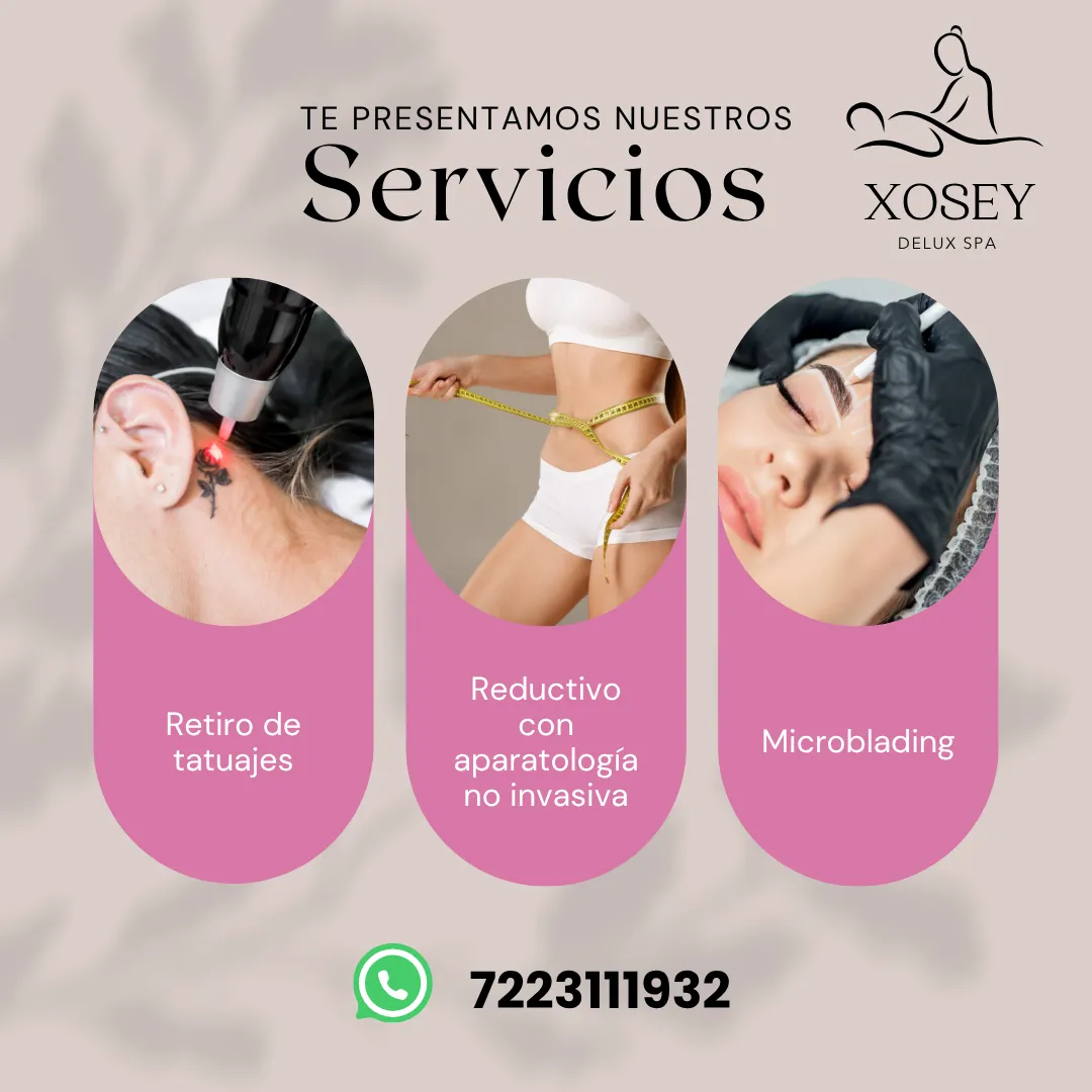Diseño 25