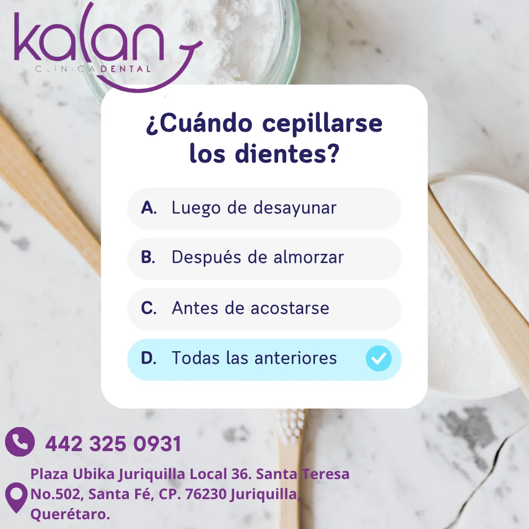 Diseño 24