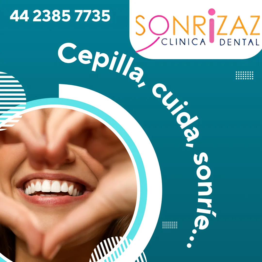 Diseño 16