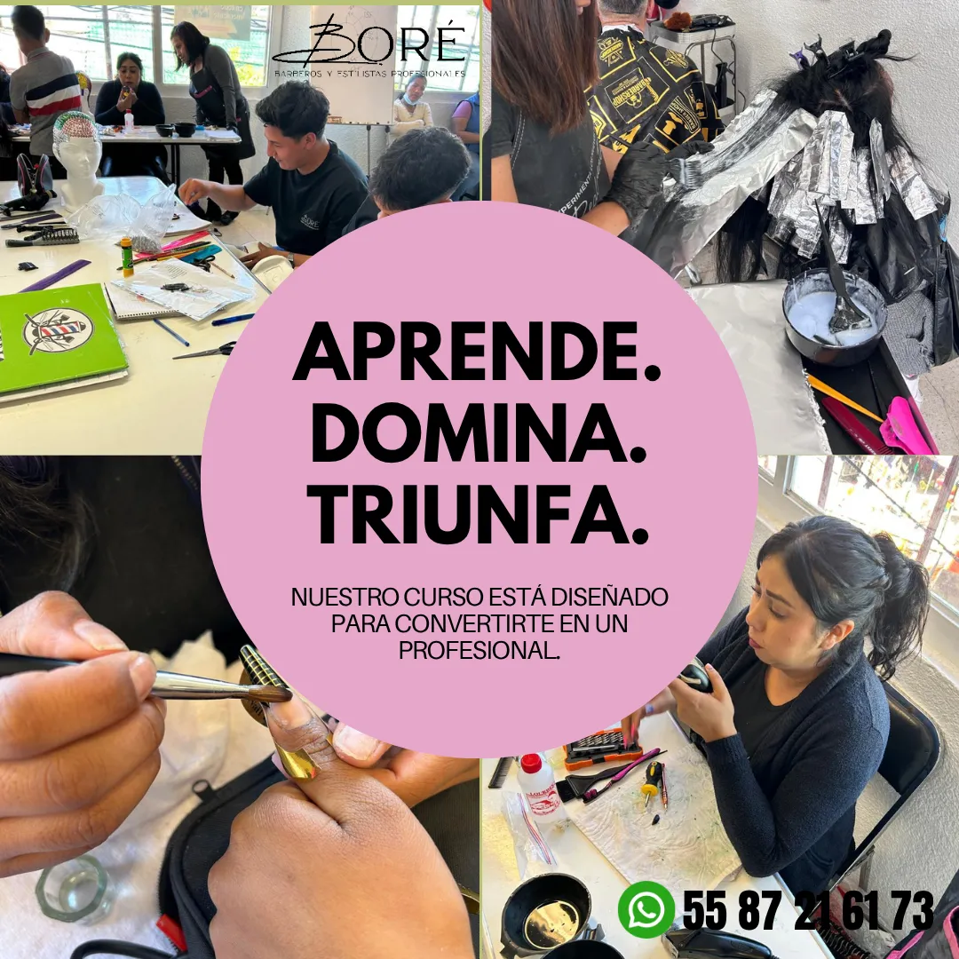 Diseño 31