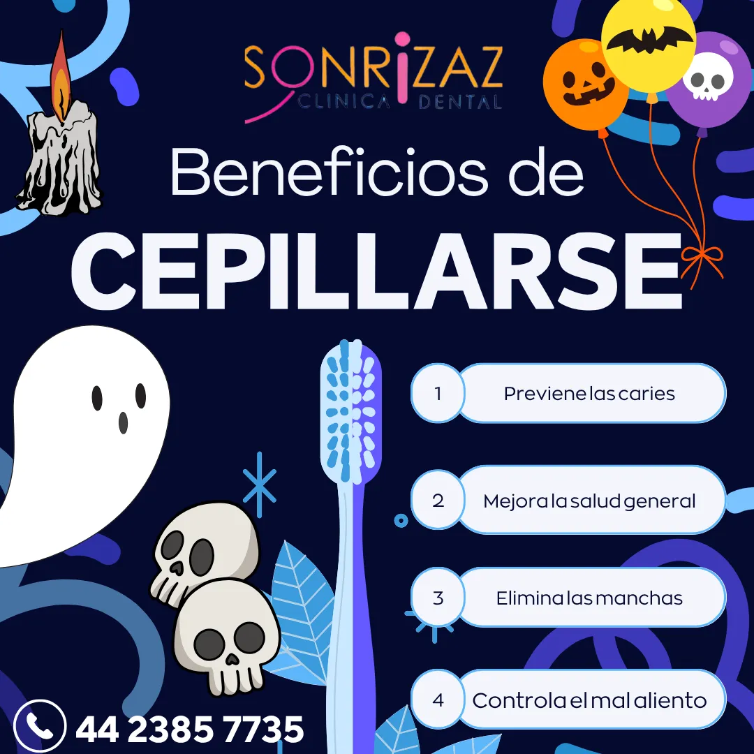 Diseño 31