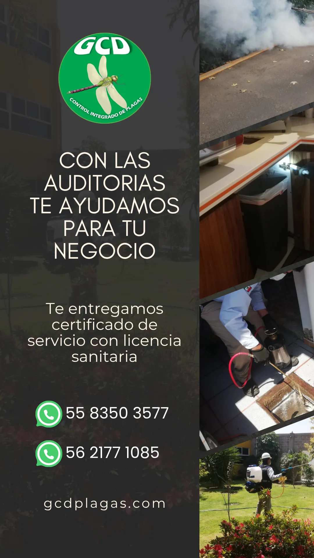 Diseño 27