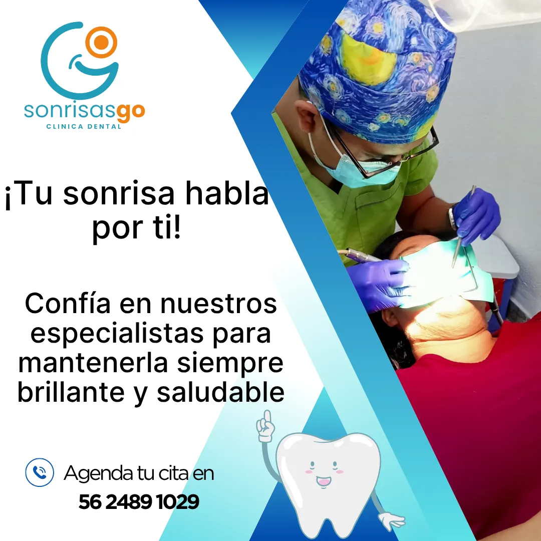 Diseño 132