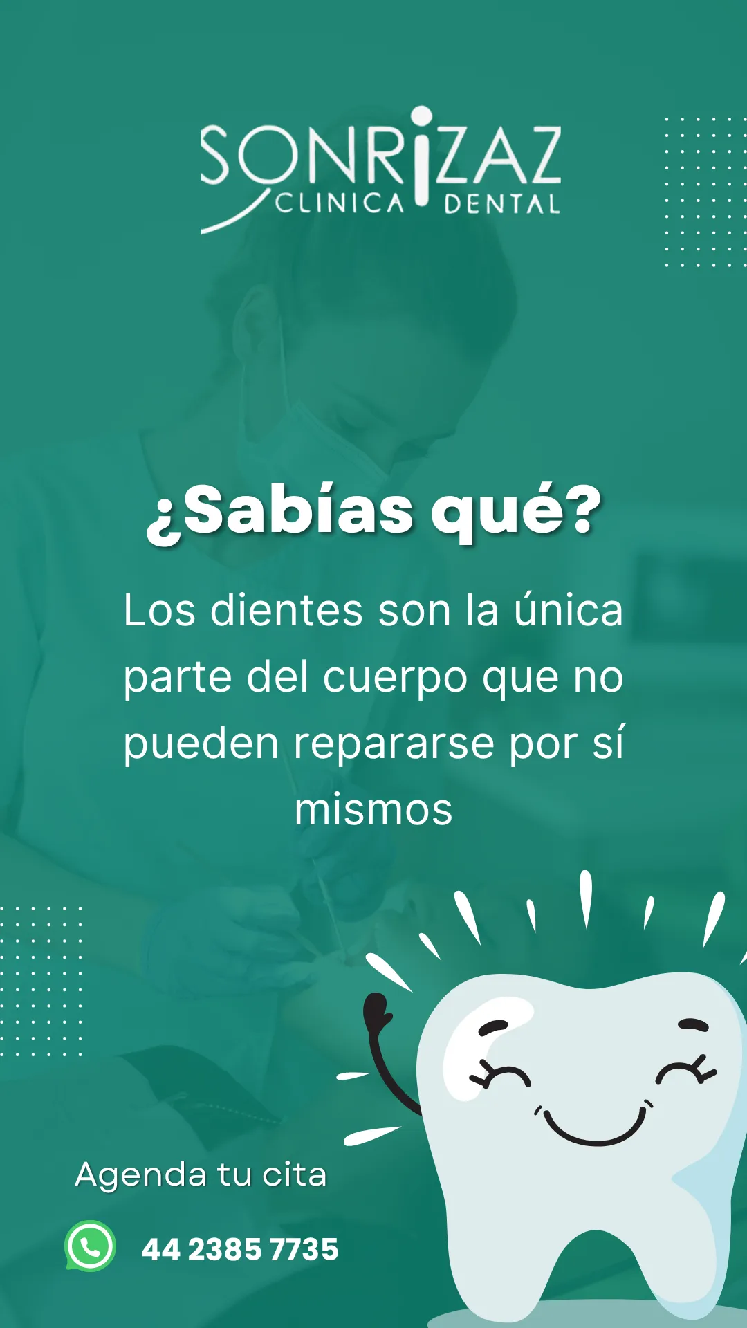 Diseño 16