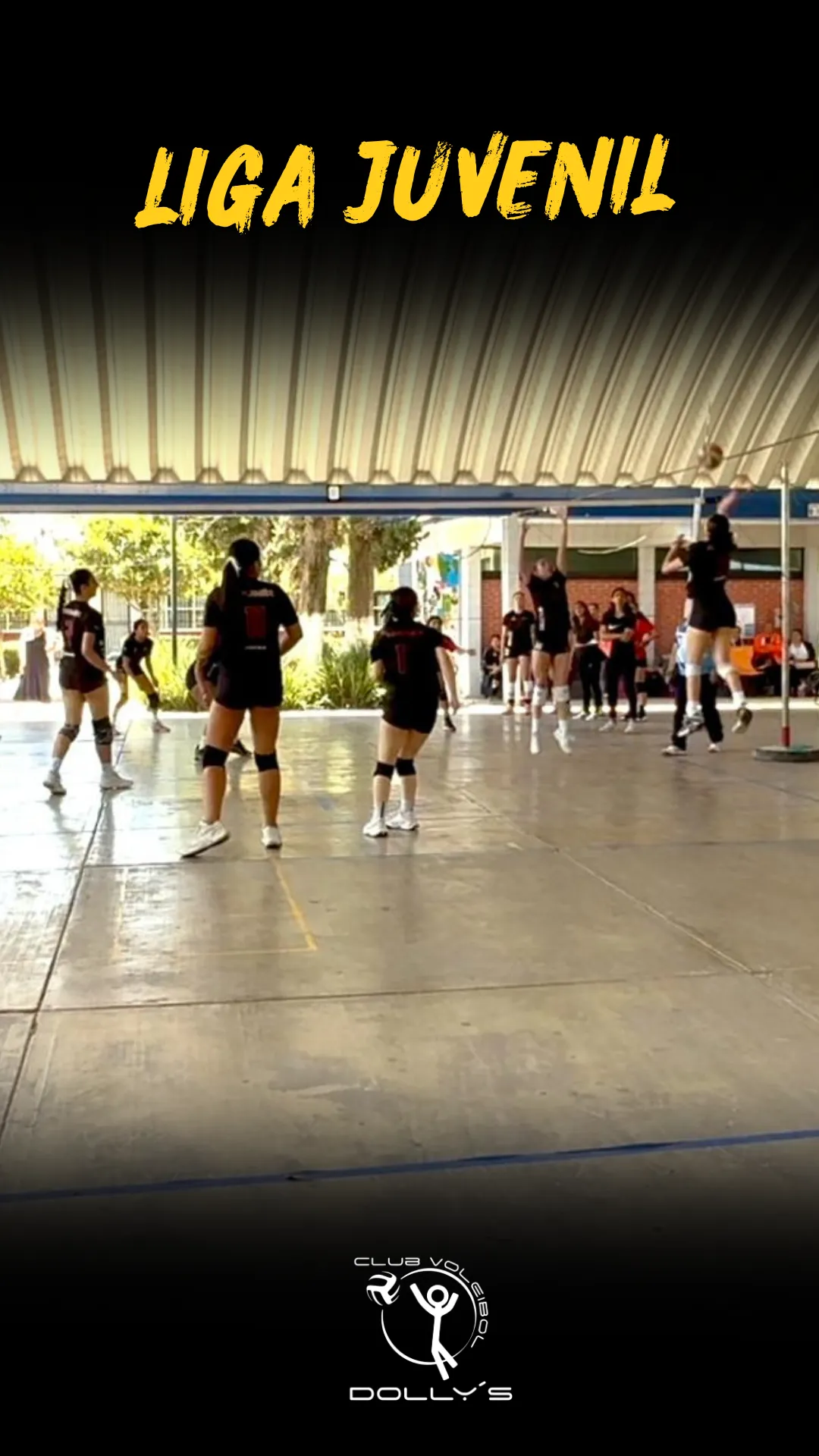Diseño 13