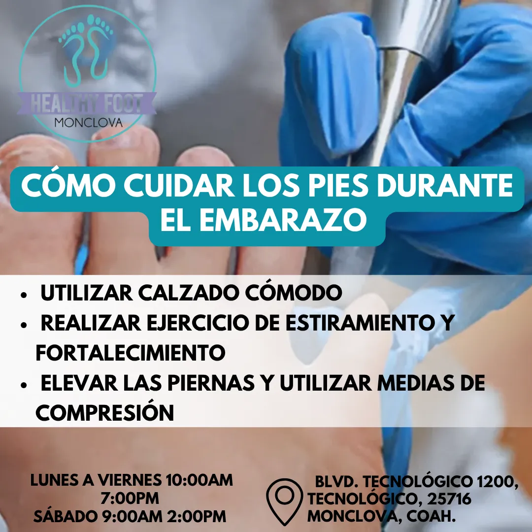 Diseño 58