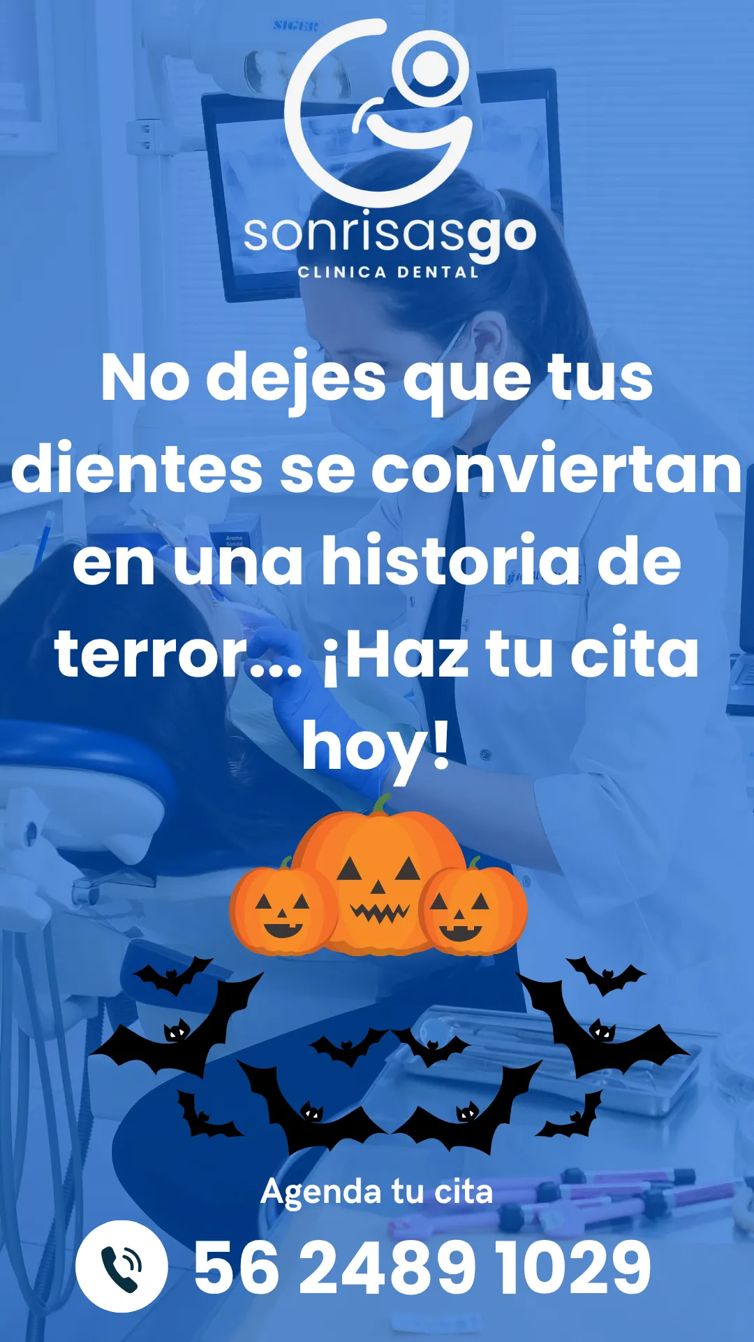 Diseño 133