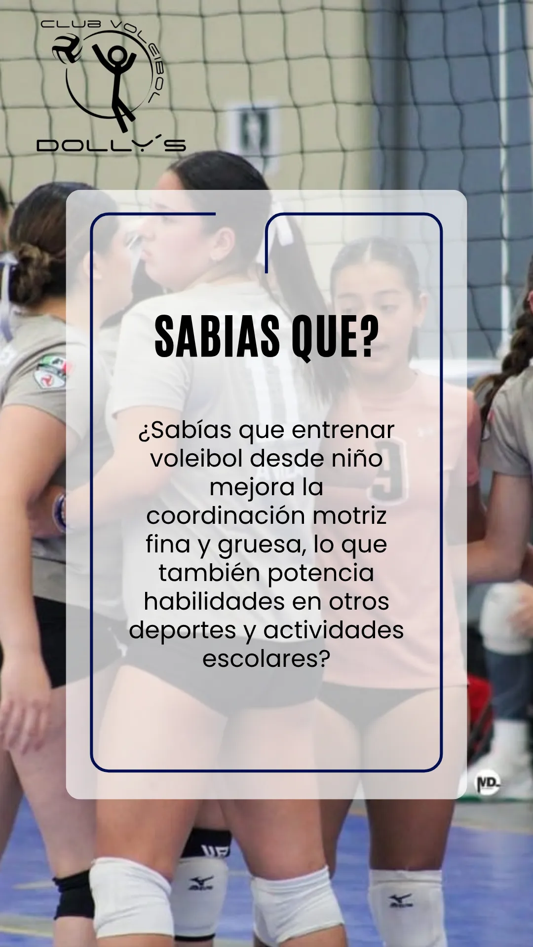 Diseño 27
