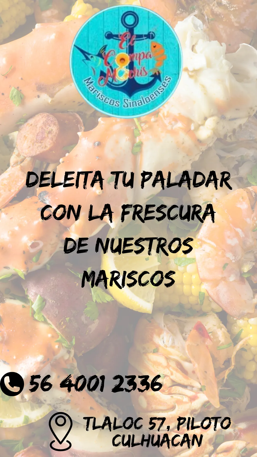 Diseño 40