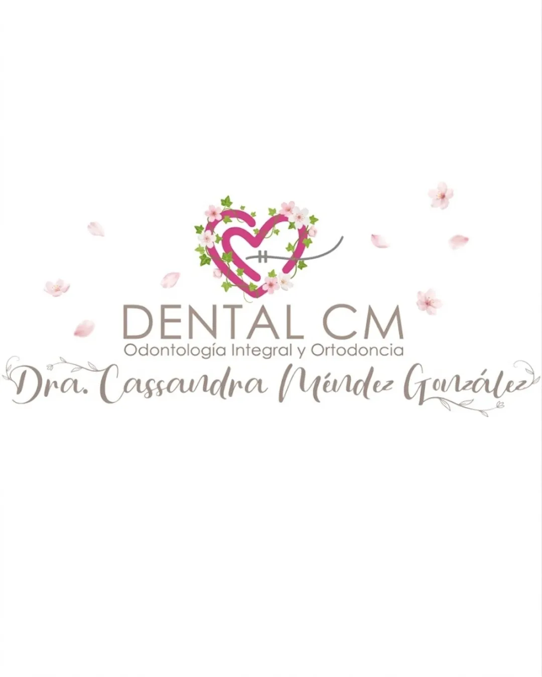 Diseño 73