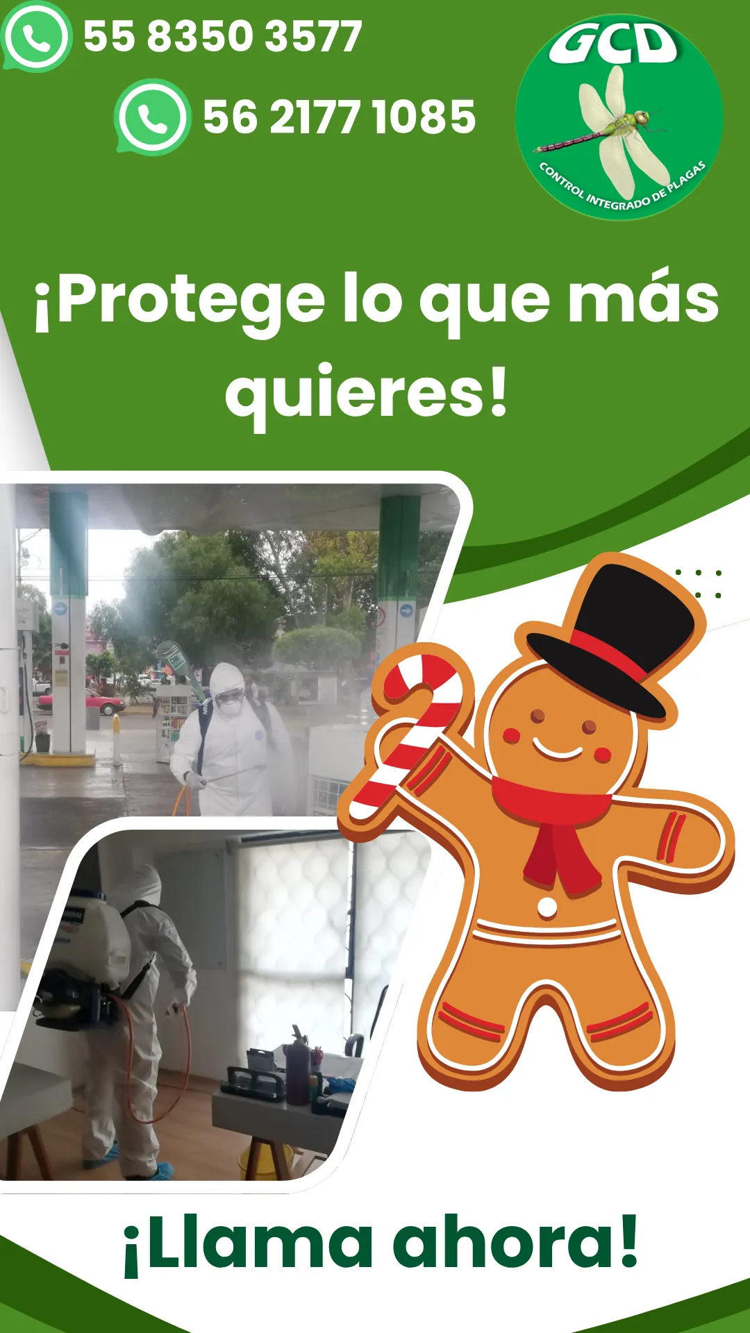 Diseño 6