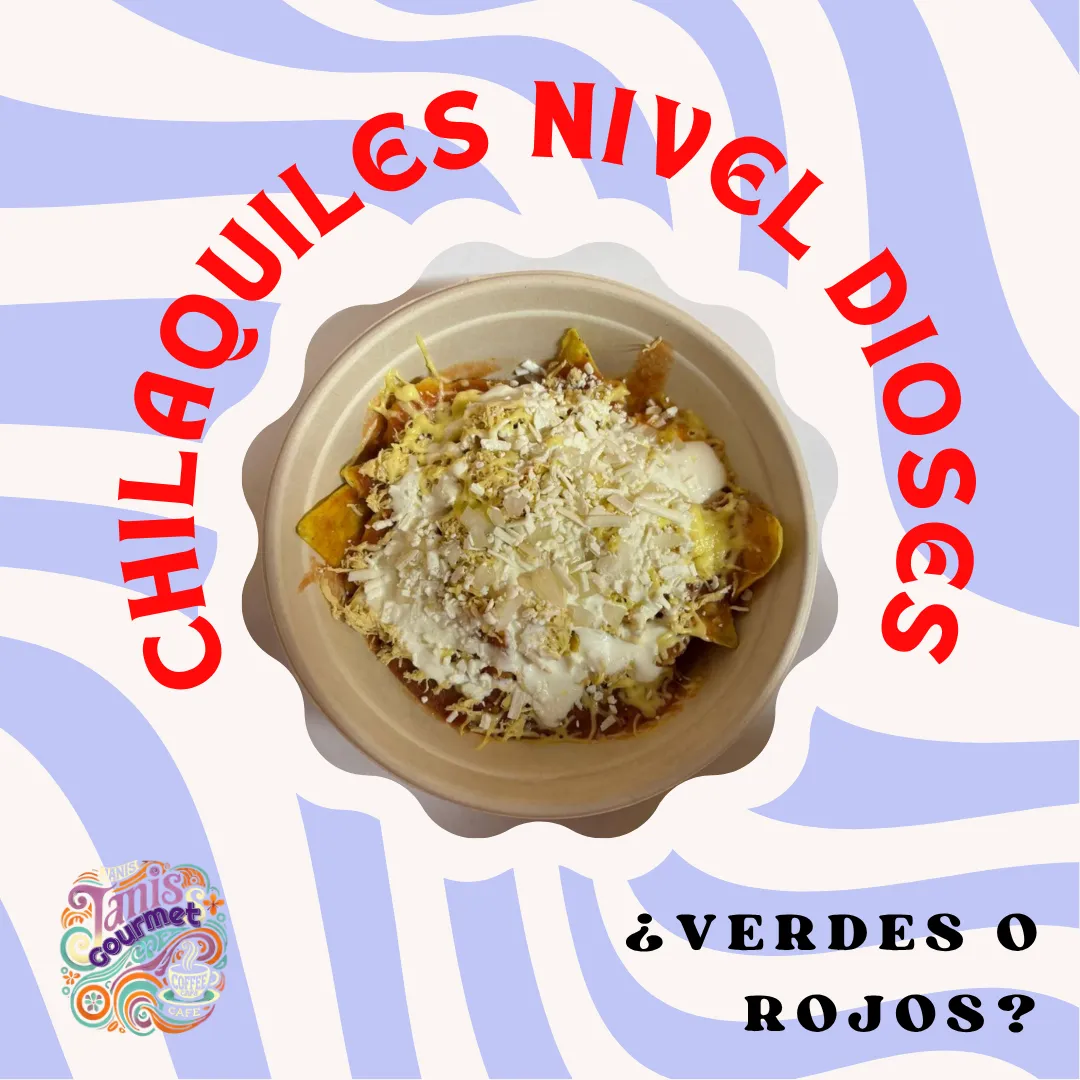 Diseño 29