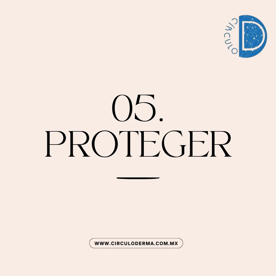 Diseño 14