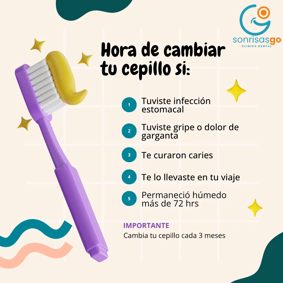Diseño 26