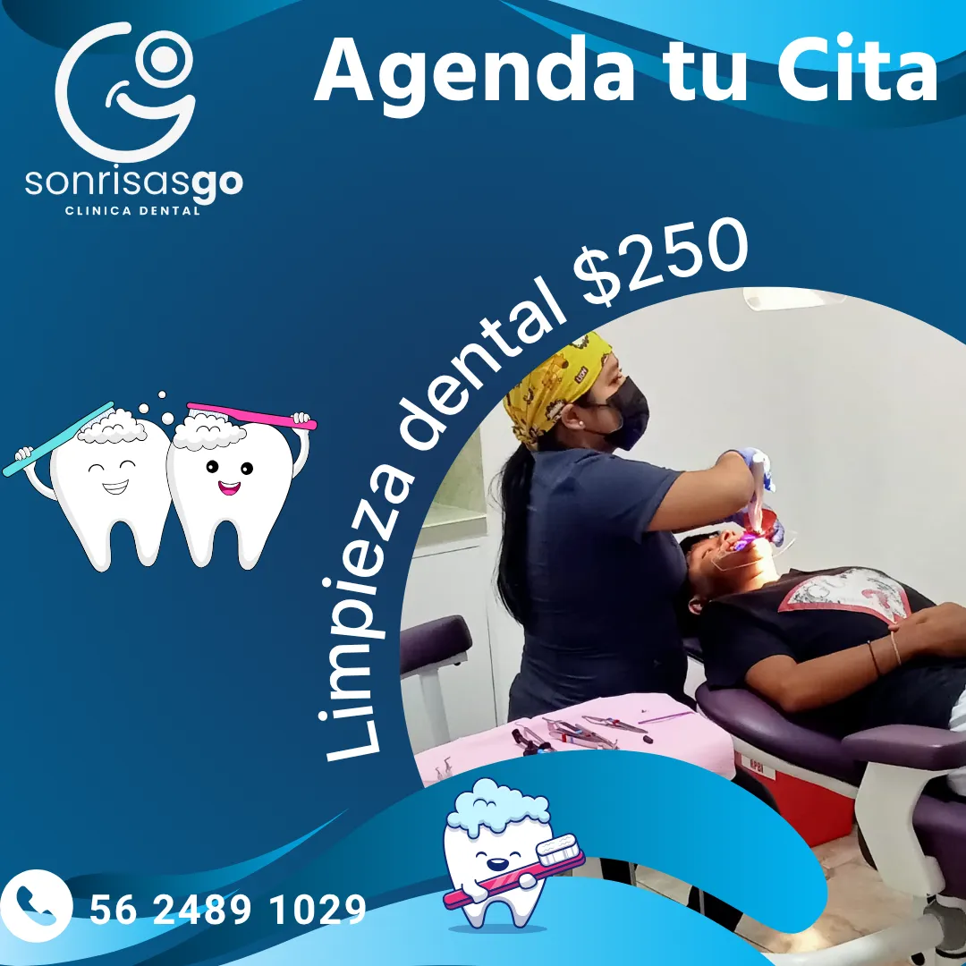 Diseño 85