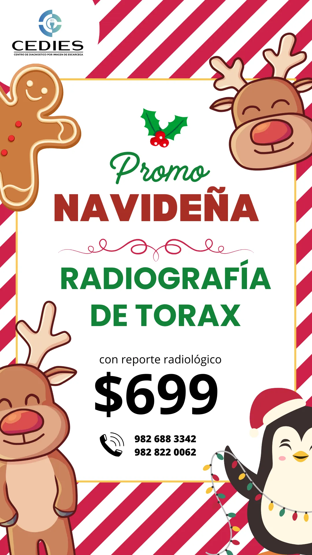 Diseño 24