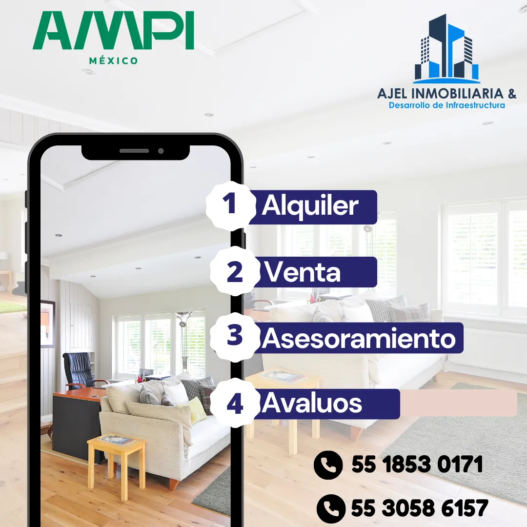 Diseño 61
