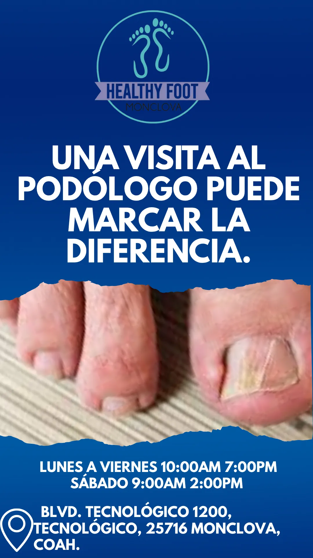 Diseño 131