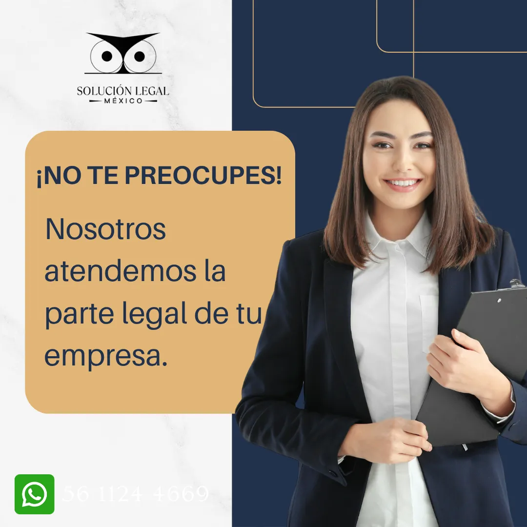 Diseño 6