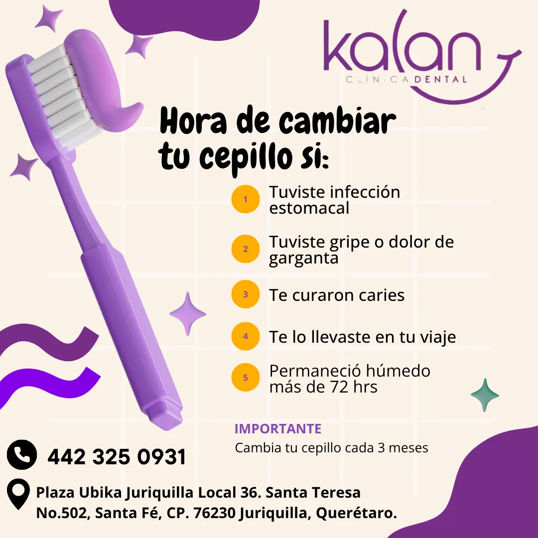 Diseño 61