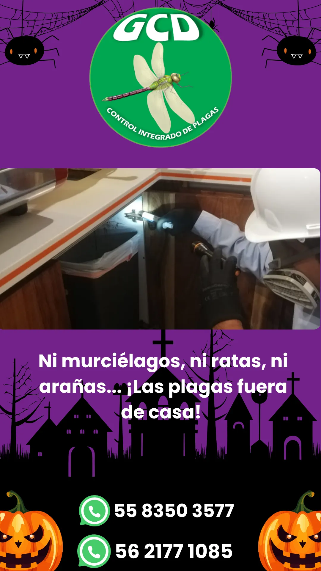 Diseño 119