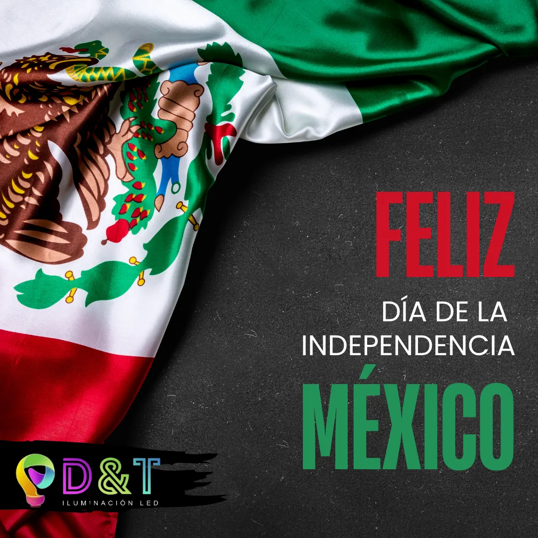 Diseño 31