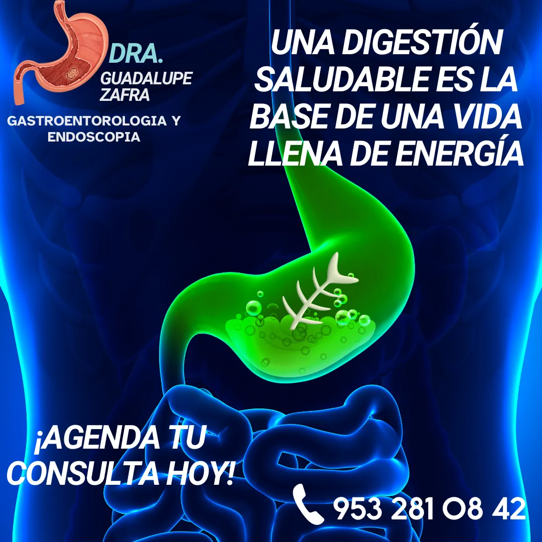 Diseño 21